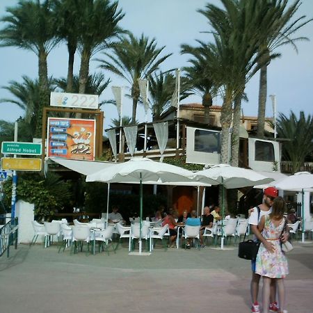 La Rosaleda Torrevieja Exterior photo